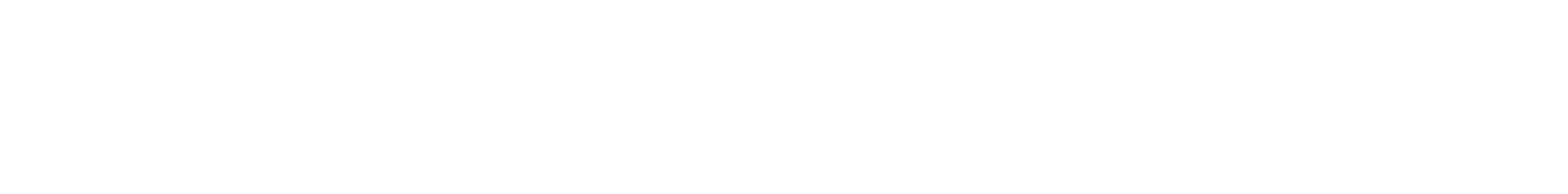 Almir Karamani CRM